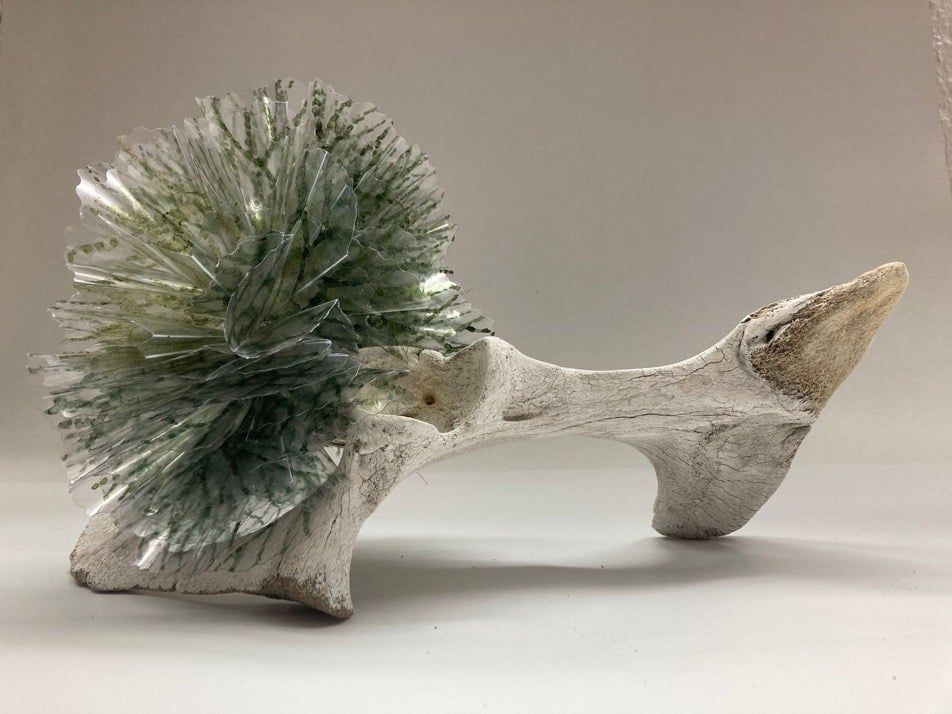 Work by Maribel Portela